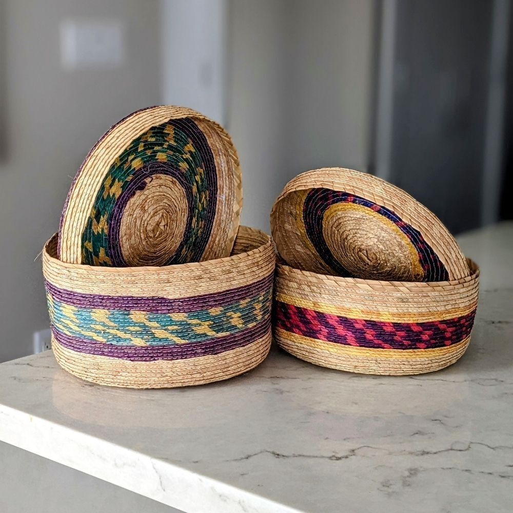 Set of Nesting Baskets with Lids